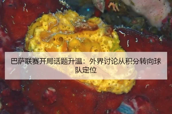 巴萨联赛开局话题升温：外界讨论从积分转向球队定位
