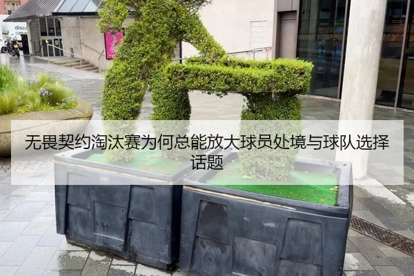 无畏契约淘汰赛为何总能放大球员处境与球队选择话题